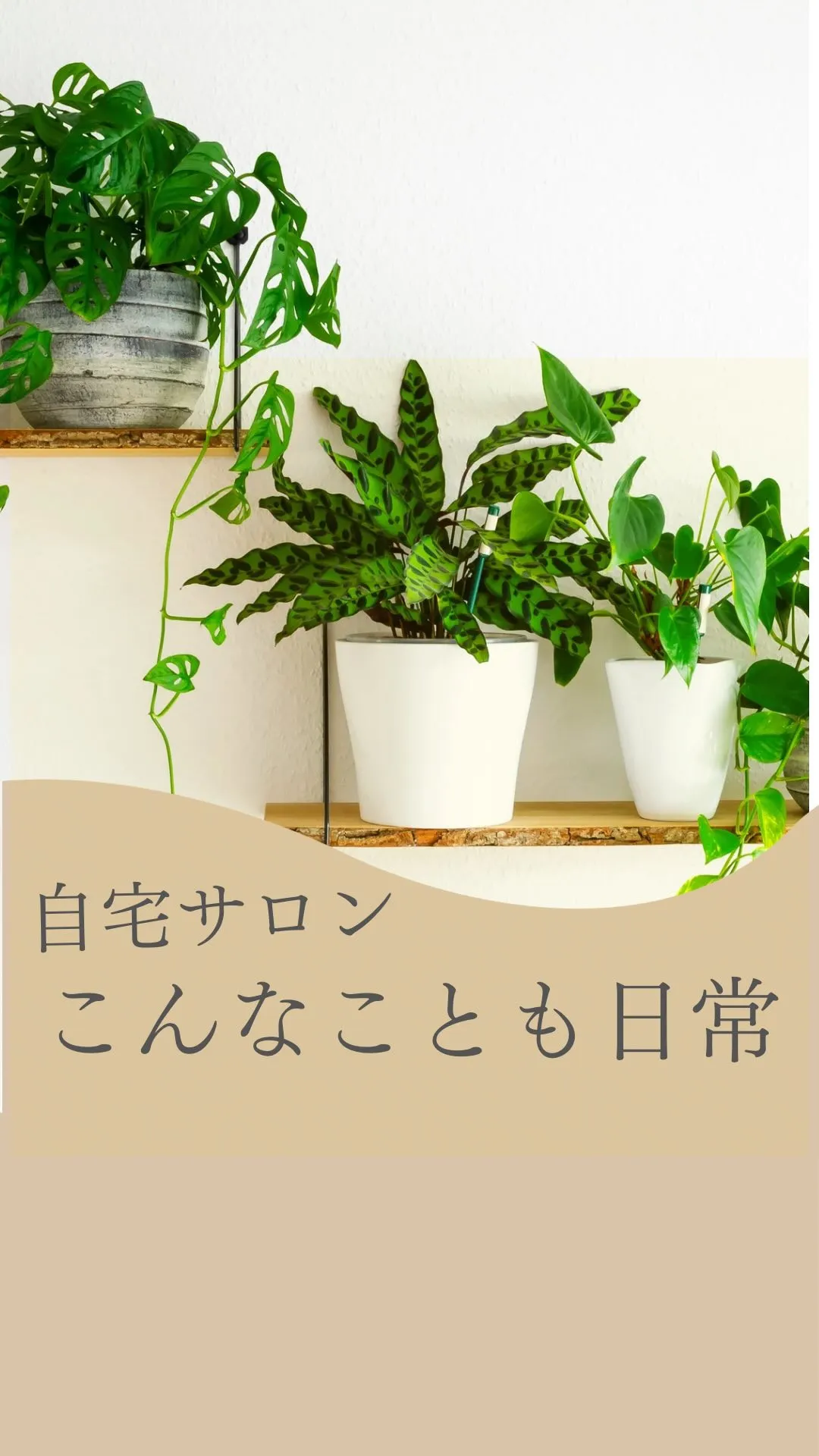 暑くてかゆい草むしり.！